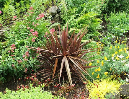 http://phatgiao.vn/images/news/garden.jpg
