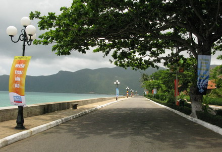 HT (8)_resize.JPG