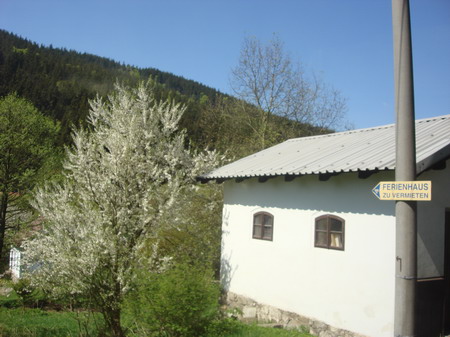 chs0912.JPG