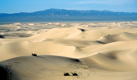 gobi.jpg
