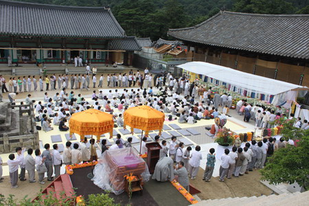 phaphoi06.jpg