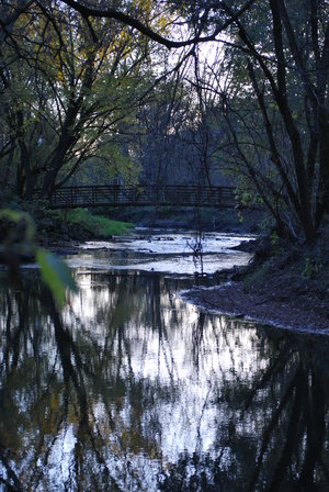beautifulnature.jpg
