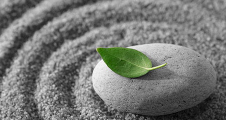 meditationleaf.jpg