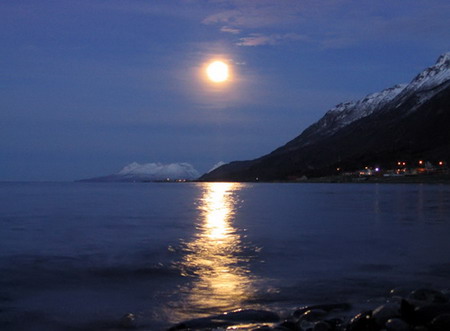 winter_moon_resize.jpg