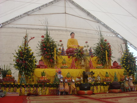 csth01.JPG