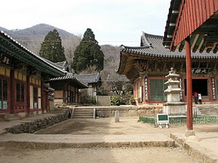 tptc08.jpg