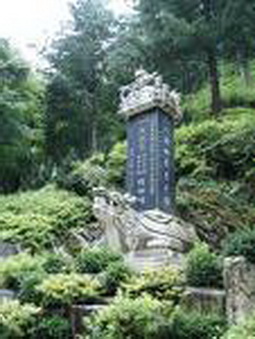 tt05.jpg