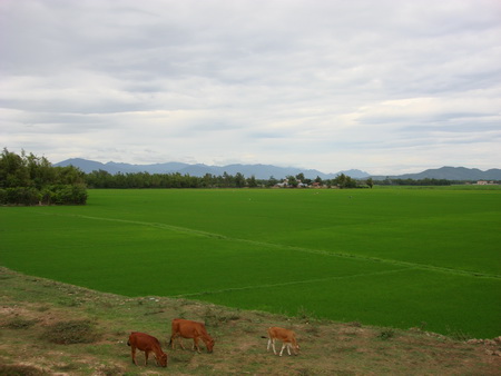 bd02.jpg