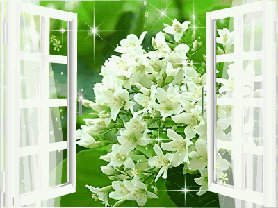 image001.gif