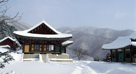 SK06.jpg