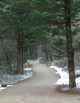 SK32.jpg
