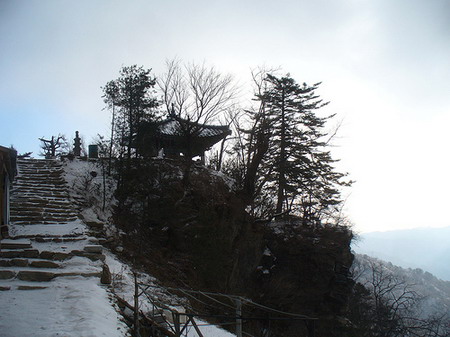Sk48.jpg