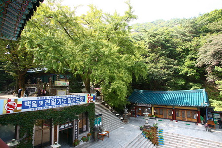 dtctpg05.jpg