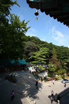 dtctpg07.jpg