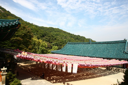 dtctpg12.jpg