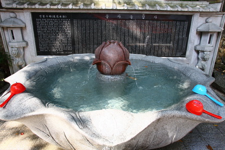dtctpg31.jpg