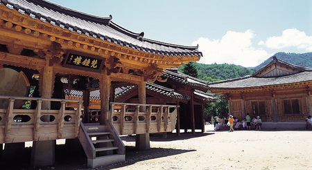 bdctpg03.jpg