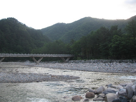 bdctpg12.jpg